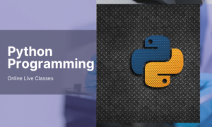 Python Programming Live
